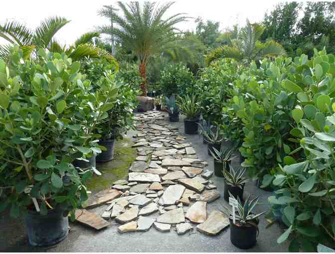 Landscaping Items from Danny Yates