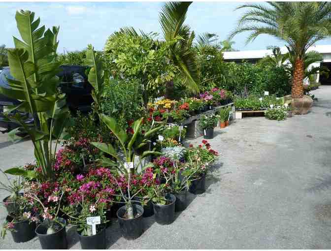 Are you Looking for Landscaping Items?