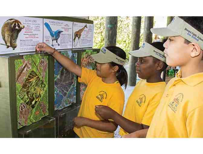 Brevard Zoo