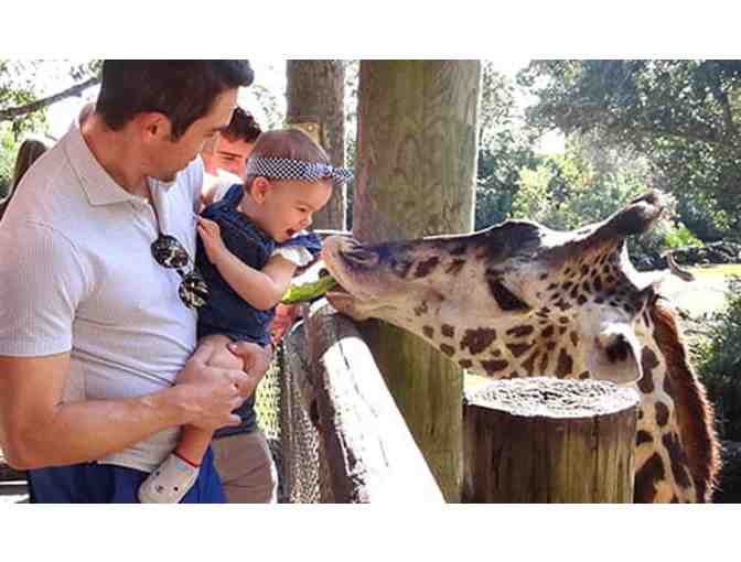 Brevard Zoo
