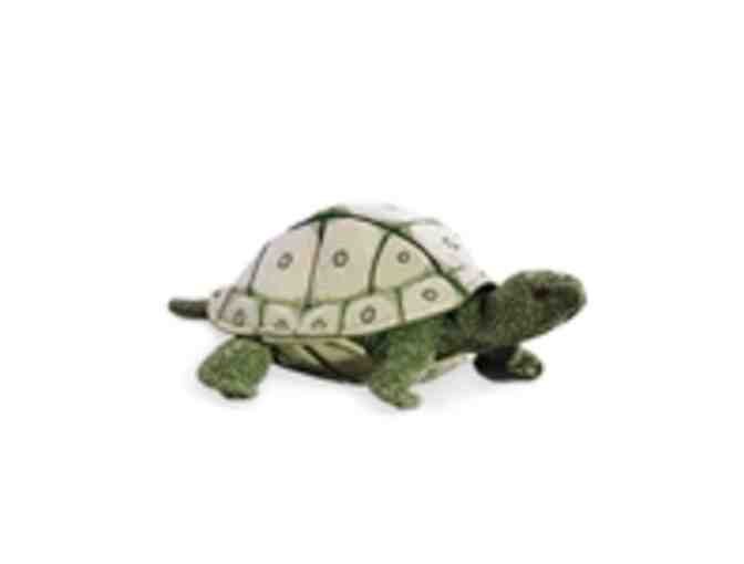 Stuffed Safari Gift Certificate