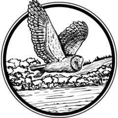 Stolen Owl LLC