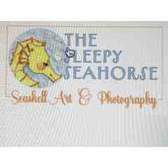 Sleepy Seahorse Photography