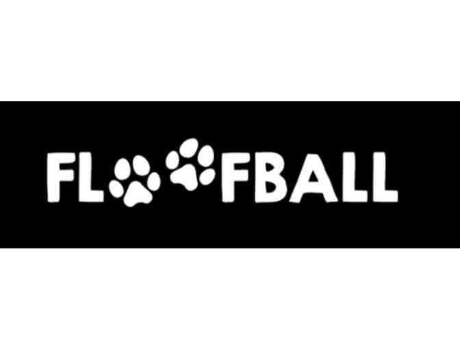 Soccer for Humans and Dogs from Floofball