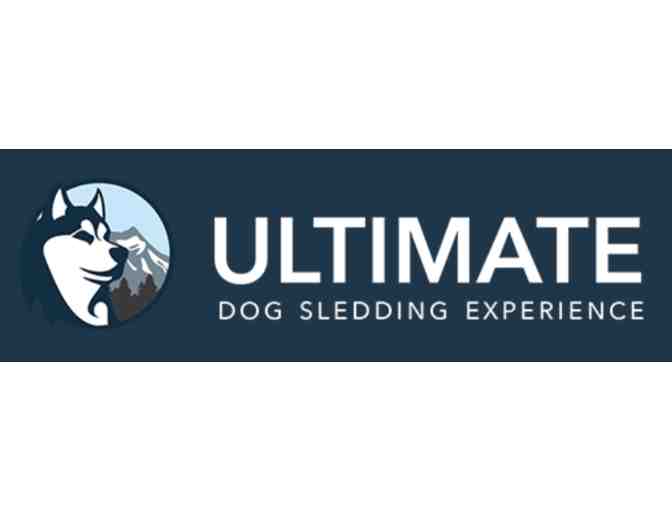 2 1/2 Hour Dog Sledding Experience in Maine