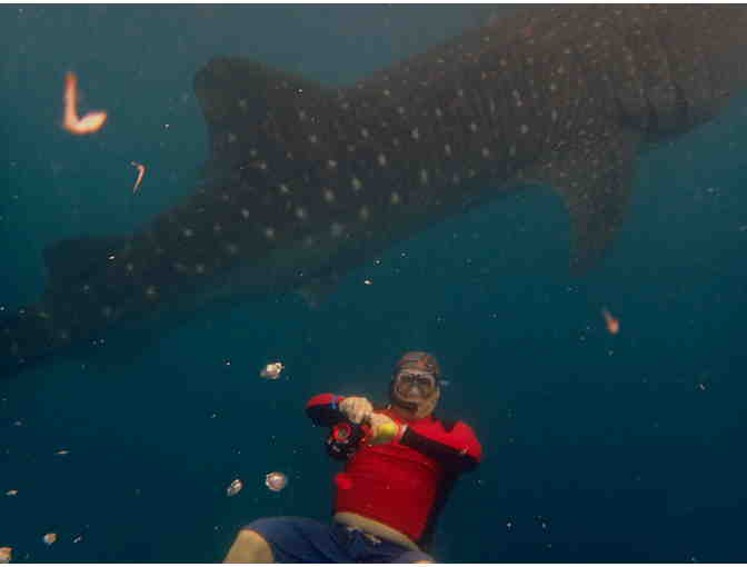 1-Trip to Philippines (Atlantis) - Diving, 7 Nights, Meals - Photo 9