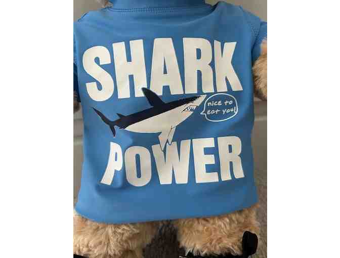 TEDDY BEAR / SHARK (Build A Bear, Cute Teddy in Shark T-Shirt)
