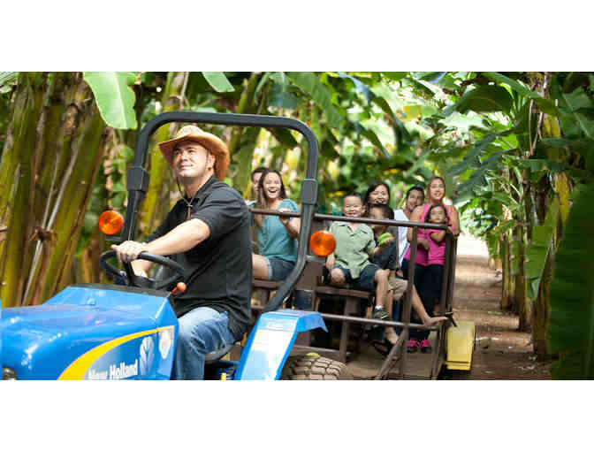 Grand Tour + Tractor Ride at Kahuku Farms (OAHU) - Photo 1