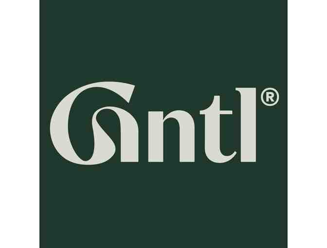 Gntl Skin Wash, Facial-Grade Cleanser for Face and Body