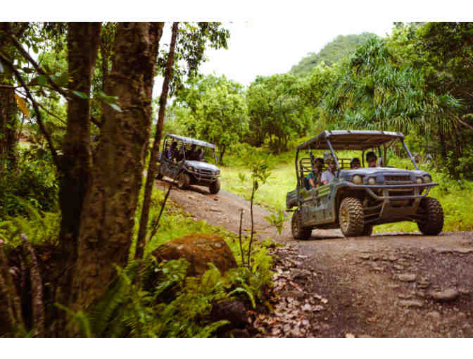 Any One Kualoa Ranch Experience Tour for Four at Kualoa Ranch (OAHU) - Photo 2