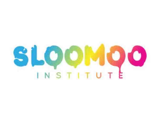 Admission for 2 to the Sloomoo Institute - Photo 1