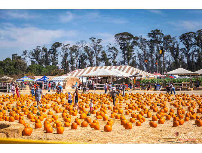 Family Season Pass to Underwood Family Farms in Moorpark - Photo 4