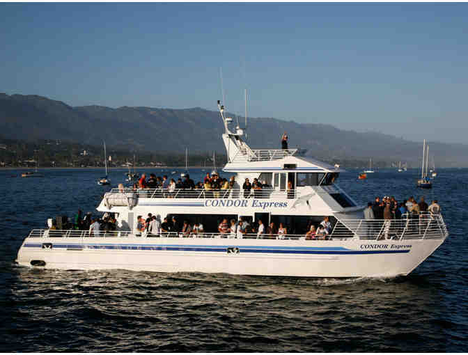 Condor Express - VIP Whale Watching Trip for Two