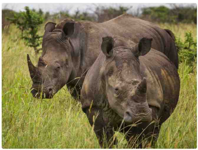 Zulu Nyala Heritage Lodge Photo Safari - South Africa (6 nights for 2 ppl)