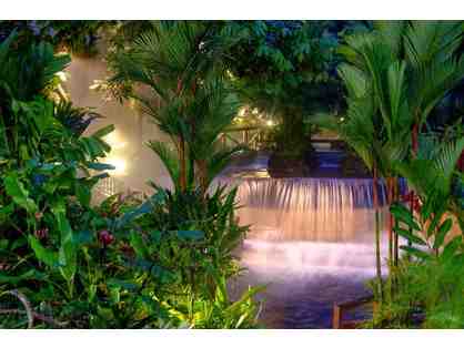 Thermal Bath Adventure to Costa Rica