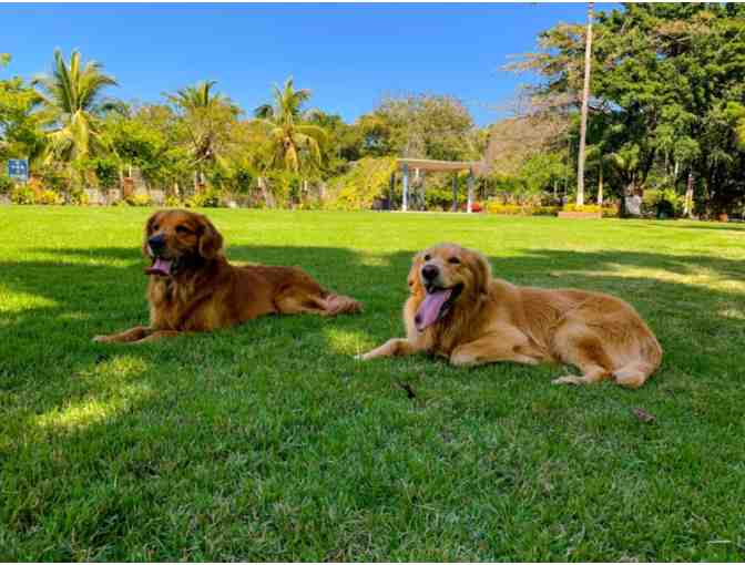 4-Night Family Vacation to Puerto Vallarta - Photo 3