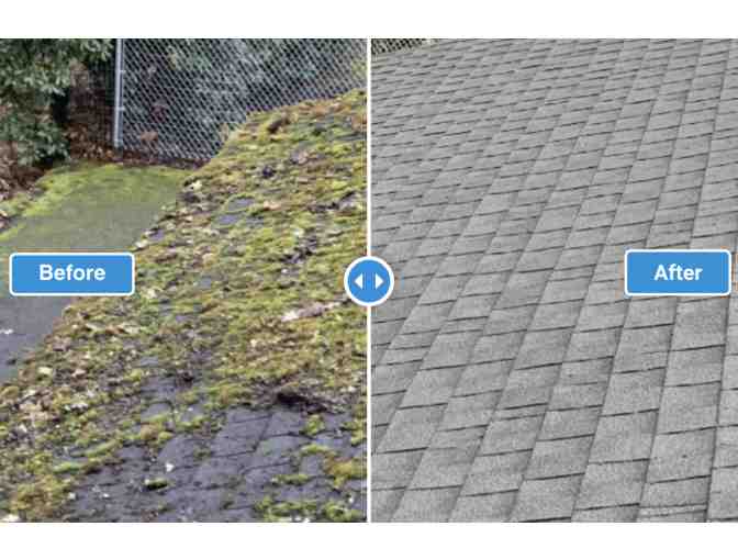 Roof Moss Removal & Gutter Cleaning from Good Clean Fun, LLC.