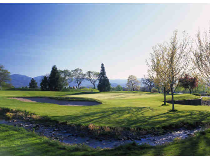 Quail Point Golf Course - Round of Golf with a Cart each Month for a Year #2