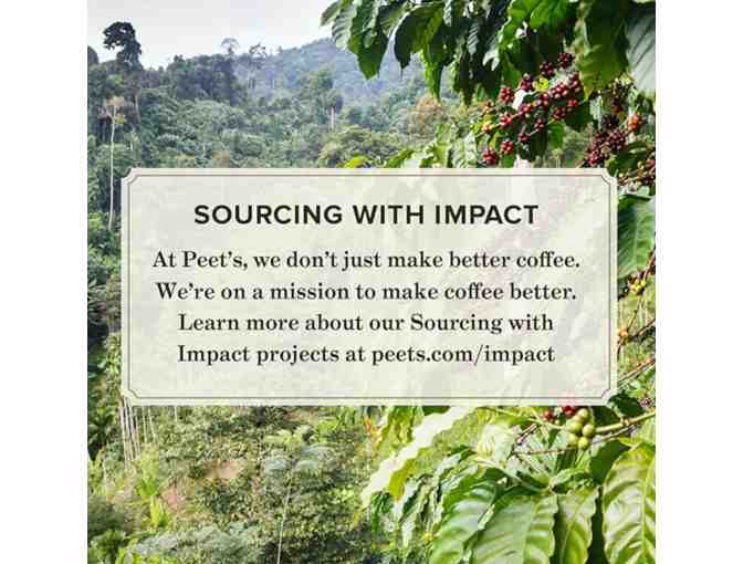 Bulk Lot 4: 84 Bags of Peet's Ground Coffee (Hazelnut Mocha, 10 oz Each)