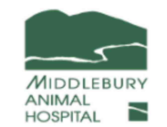 $100 Gift Certificate for the Middlebury Animal Hospital - Photo 1