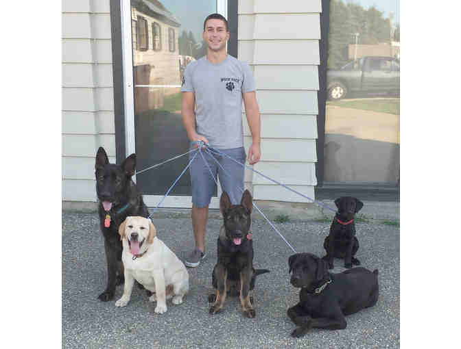 Three-day care visits at Woof Pack Dog Day Care in Middlebury, VT - Photo 1