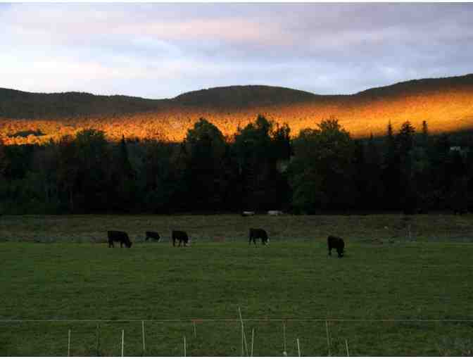 Four-day Weekend at a Vermont BnB for up to Six