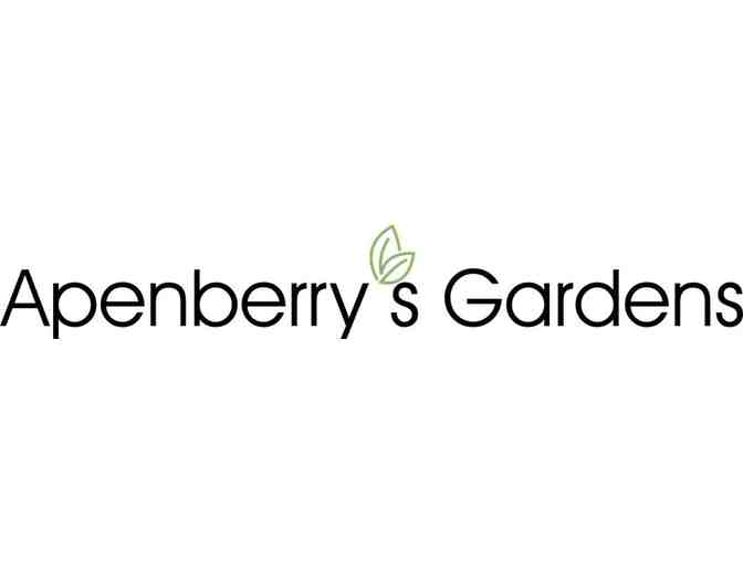 Apenberry's Gardens Special Centerpiece - Small