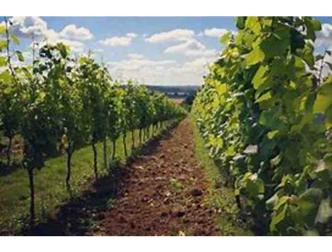 Hattingley Valley Wine Tasting and Tour