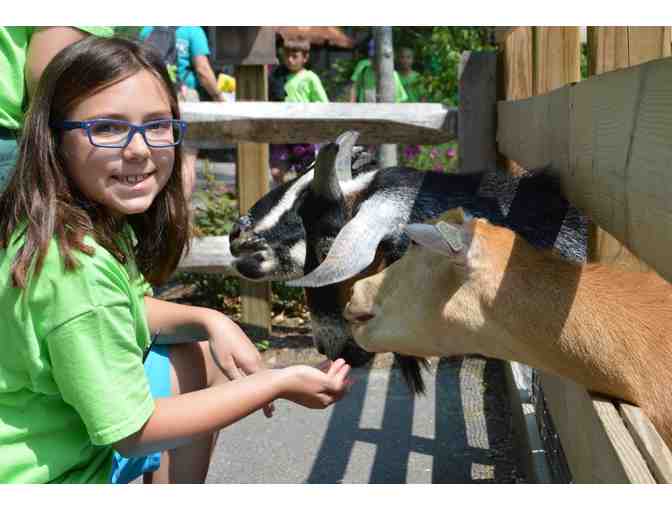 First Registration for Summer Adventures ZooCamp at Roger Williams Park Zoo