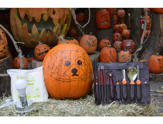 Carving with the Masters: Behind the Scenes Jack-O-Lantern Spectacular Experience for Two