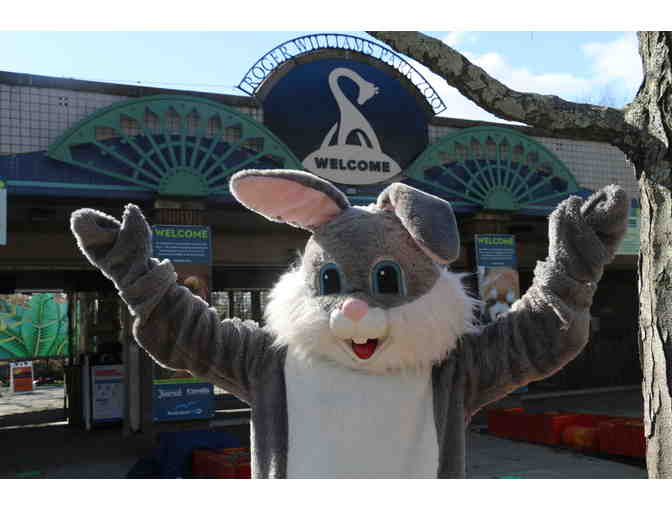 Visit with the Easter Bunny at Roger Williams Park Zoo - Photo 2