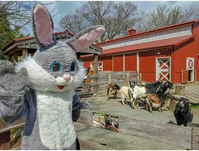 Visit with the Easter Bunny at Roger Williams Park Zoo - Photo 3