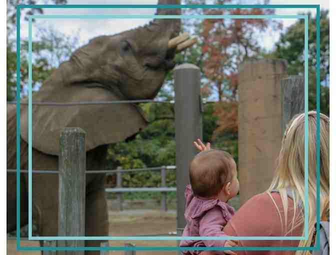 A Sweet Family Fun Day at the Zoo - Photo 1