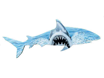Cape Shark