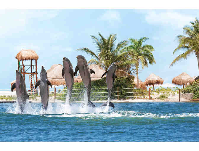 #All-Inclusive Family Fiesta (Cancun) -5 Days for two adults and two children at Hyatt