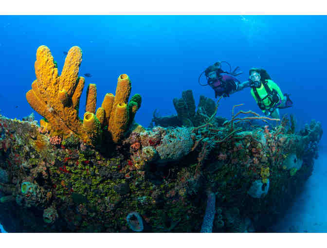 Natural Playground in the U.S. Virgin Islands (St. Croix) *5 Days for family of 4 + more - Photo 4