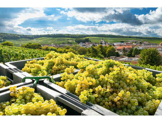 Tour Cellars and Pop Open the Bubbly! (Champagne, France) *6 Days + Tours+SPA - Photo 5