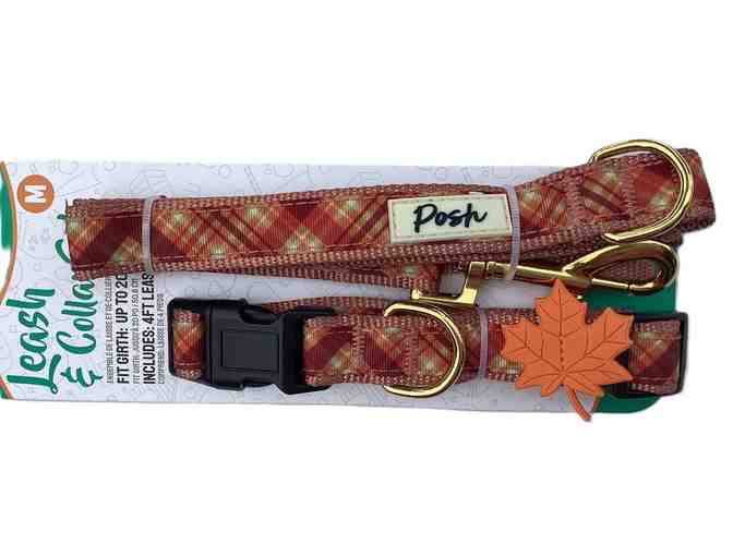 Fall Leash and Collar Set Medium - Photo 1