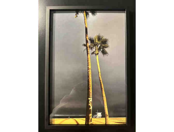 Framed 13x19 photograph by, Miriam Crostic "Golden Palms" - Photo 1